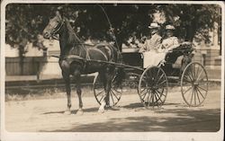 Couple Riding in a Horse Drawn Buggy Postcard