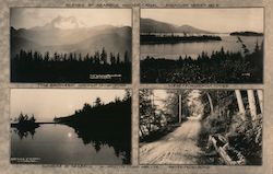 Scenes at Seabeck Hoods Canal - Miniature Series No. 5 Washington Postcard Postcard Postcard