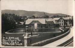 Big Spring Bellefonte, PA Postcard Postcard Postcard