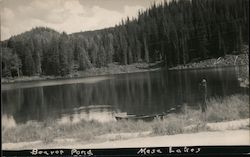 Beaver Pond, Mesa Lake Postcard
