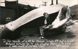 Stock #940167 Thumbnail