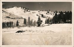 Mt. Rose Bowl Postcard