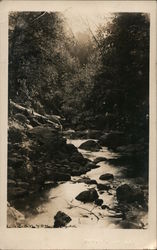 Canyon Creek Scene Dutch Flat, CA Postcard Postcard Postcard