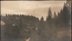 View of Town Nevada City, CA Postcard Postcard Postcard