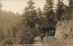 Myrtle Point-Roseburg Stage Line Postcard