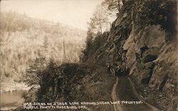 Scene on Stage Line around Sugar Loaf Mountain, Myrtle Point to Roseburg Postcard