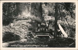 Snaking Logs out of an Oregon Forest Postcard