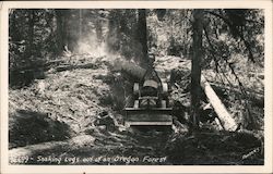 Snaking Logs out of an Oregon Forest Postcard Postcard Postcard