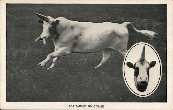 Bos Taurus Unicornis Advertising