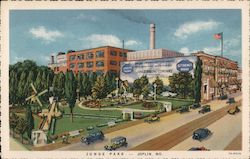 Junge Park Joplin, MO Curt Teich Postcard Postcard Postcard