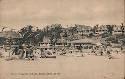 Point O' Woods Beach South Lyme, CT Postcard Postcard Postcard