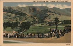 Golf Course Santa Catalina Island, CA Postcard Postcard Postcard