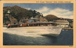 Cruiser Descanso Postcard