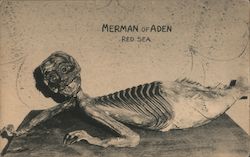 Merman of Aden - Ripley Odditorium Postcard