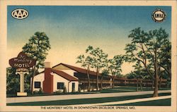 The Monterey Motel Postcard