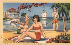 Isle of View Postcard