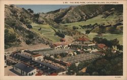 The Bird Park Postcard