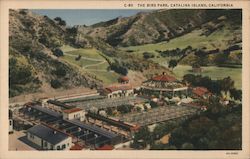 The Bird Park Santa Catalina Island, CA Postcard Postcard Postcard