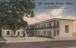 The Flamingo Terrace Motel Wildwood-by-the-Sea, NJ Postcard Postcard Postcard