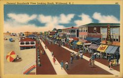 General Boardwalk View Looking South Postcard