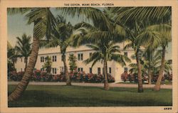The Devon Miami Beach, FL Postcard Postcard Postcard
