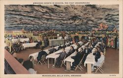 Arkansas Senate in Session 500 Feet Underground Bella Vista, AR Postcard Postcard Postcard