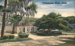 Tallahassee Motor Hotel Florida Postcard Postcard Postcard