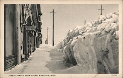 After a March Snow Storm Munising, MI Curt Teich Postcard Postcard Postcard