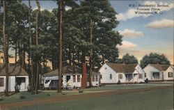 Residential Section, Princess Place Postcard