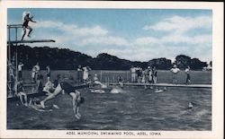 Adel Municipal Swimming pool Postcard