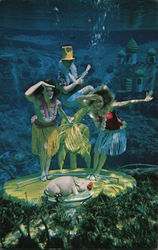 1968 Hawaiian Mermaid Show The Mermaids pay tribute to Arthur Godfrey Postcard