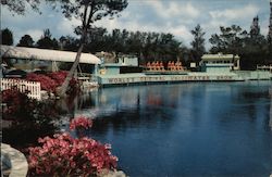 World's Original Underwater Show Postcard