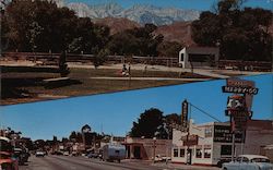 Business District and Public Park Postcard