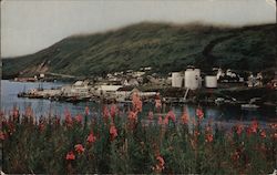 Scenic View Postcard