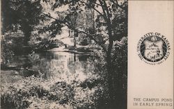 Stock #938701 Thumbnail