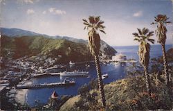 Bird's Eye View of Crescent Bay from the Wrigley Estate Postcard
