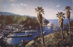 Bird's Eye View of Crescent Bay from the Wrigley Estate Santa Catalina Island, CA Postcard Postcard Postcard