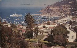 Avalon Bay from Above Sunshine Terrace Santa Catalina Island, CA Postcard Postcard Postcard