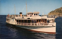 Glass Bottom Boat at Avalon Postcard