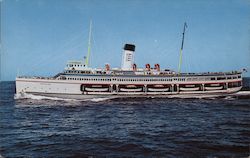 S.S. Catalina Sails for Avalon Postcard