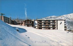 Mountain Chalet at Snowmass Postcard