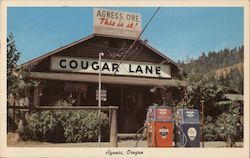 Cougar Lane Historic Building Agness, OR Postcard Postcard Postcard