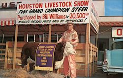 Houston Livestock Show Postcard
