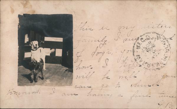 Two dogs on a sidewalk Sodom New York