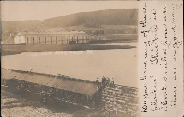 Ice Dam Palm Pennsylvania