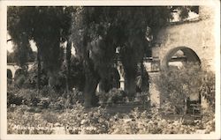 Gardens and Archway Postcard