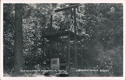 Old Gallows Postcard