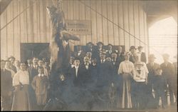 Group with Large Shark Hanging Postcard