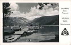 Strawberry Lake, Pinecrest Sonora Pass Vacationland Postcard