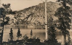 View Overlooking Lake Water Trees Blairsden, CA Postcard Postcard Postcard